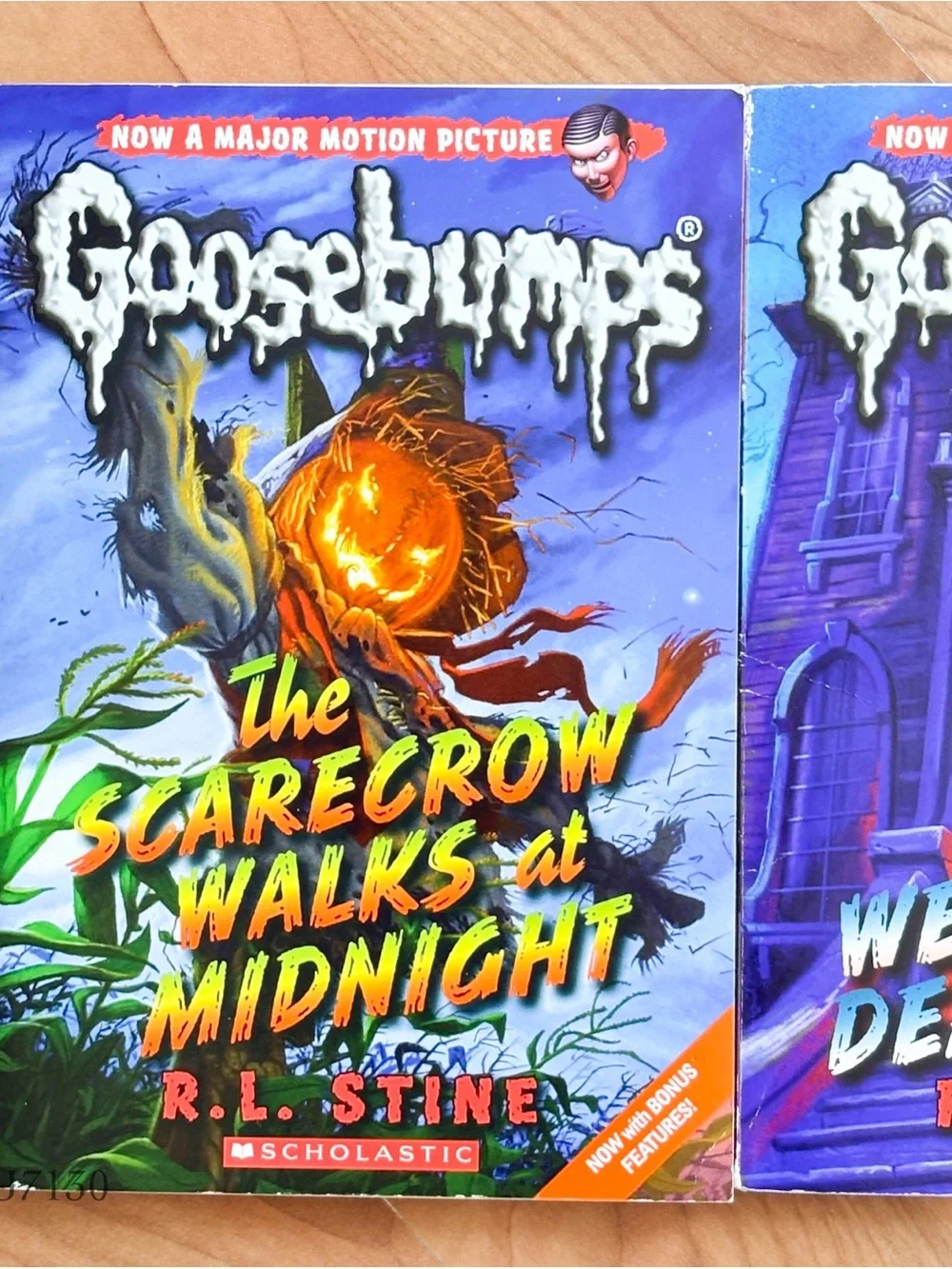 Goosebumps Classic Vintage Goosebumps Book Bundle by R.L. Stine Paperback